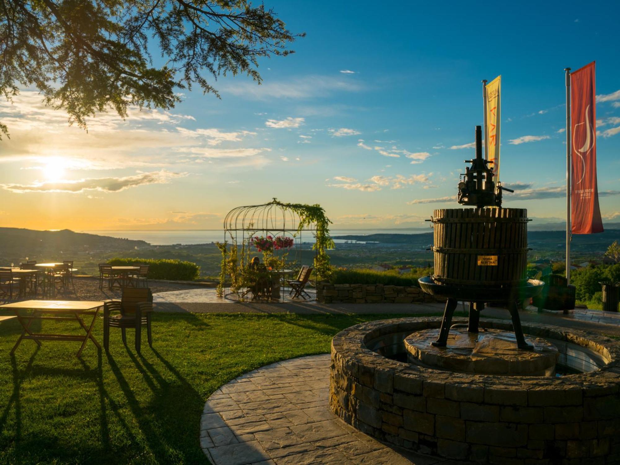 Wine Paradise - Glamping Resort Marezige Bagian luar foto