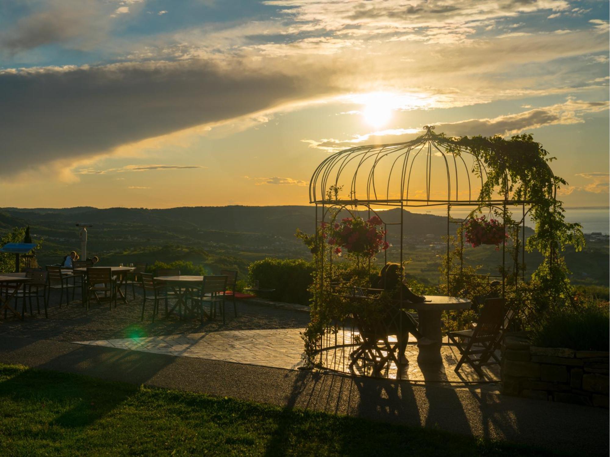 Wine Paradise - Glamping Resort Marezige Bagian luar foto