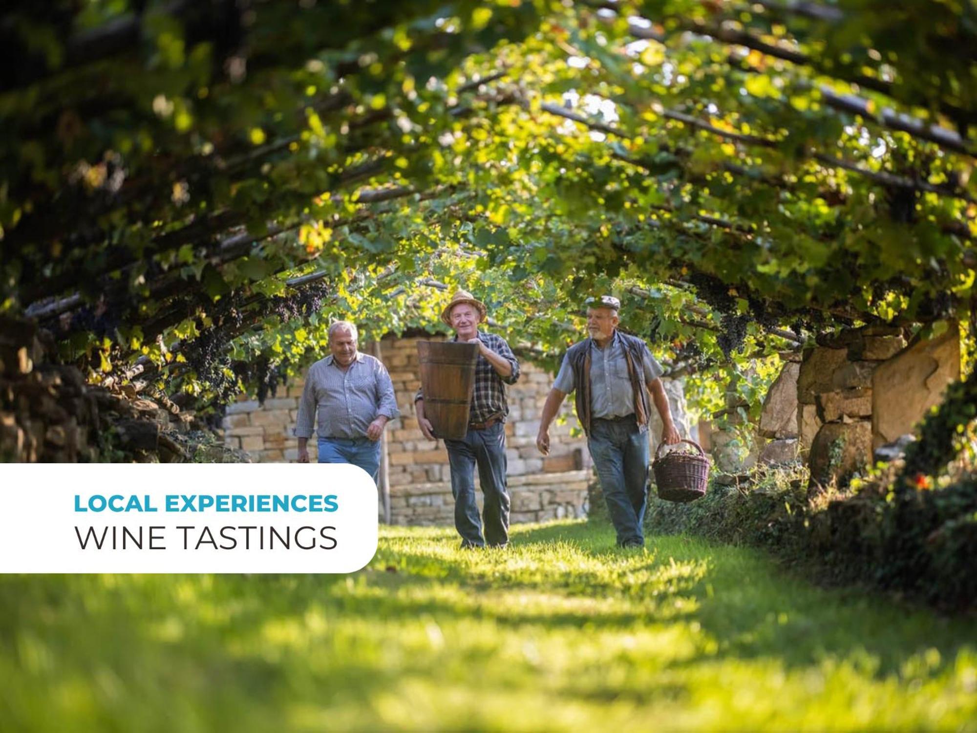 Wine Paradise - Glamping Resort Marezige Bagian luar foto