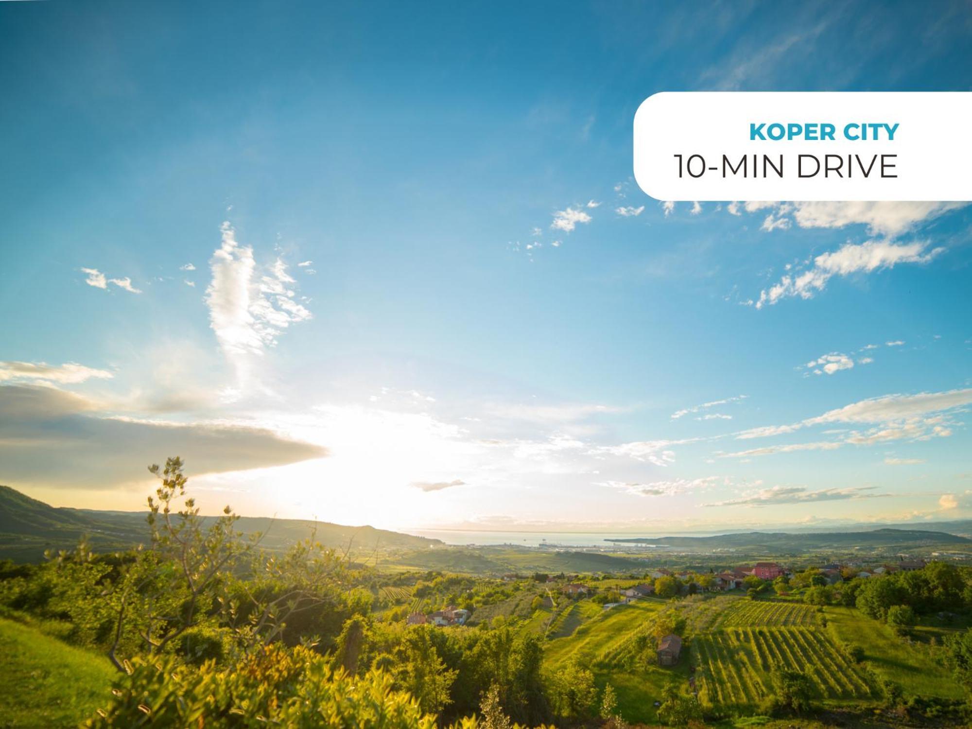 Wine Paradise - Glamping Resort Marezige Bagian luar foto